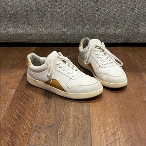 Everlane The Court White Sneakers